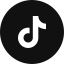 tiktok icon